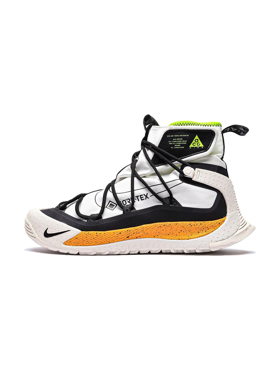 Nike ACG Air Terra Antarktik
