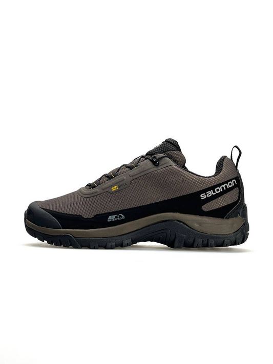 Salomon Shelter Gore-Tex Brown