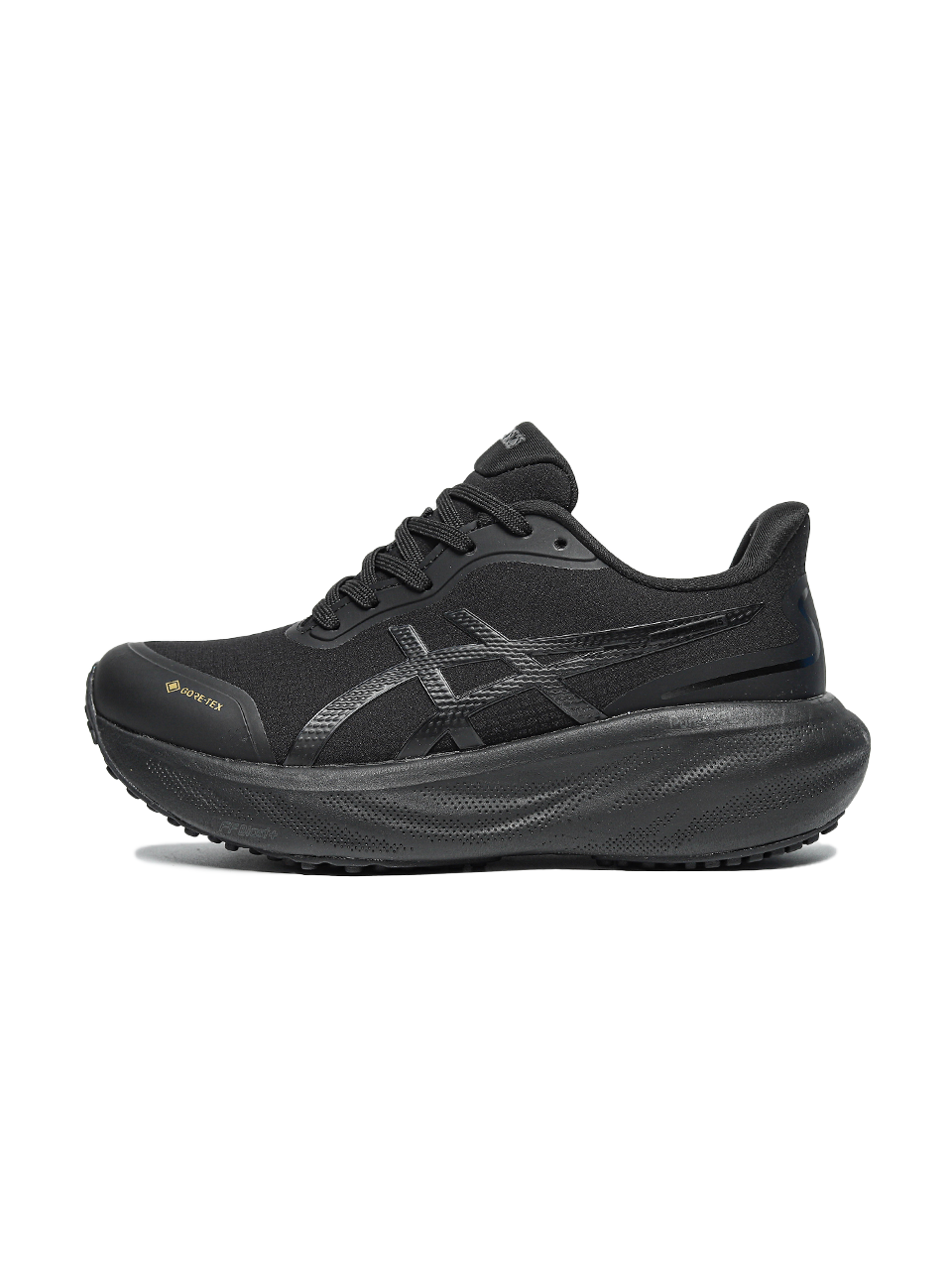Asics Gel-Kayano 30 Black Gore-Tex