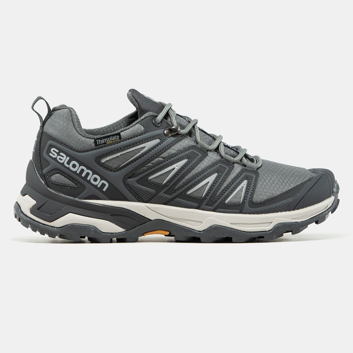 Salomon Speed Cross Pro Gore-Tex Grey Termo