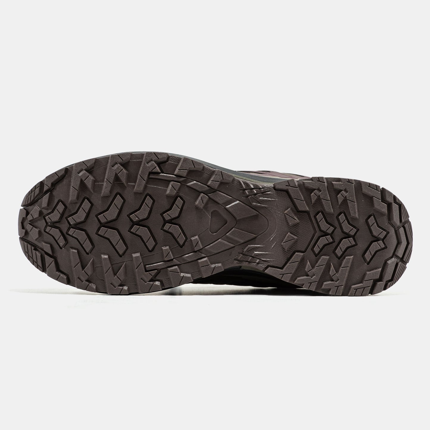 Salomon XA PRO 3D Brown