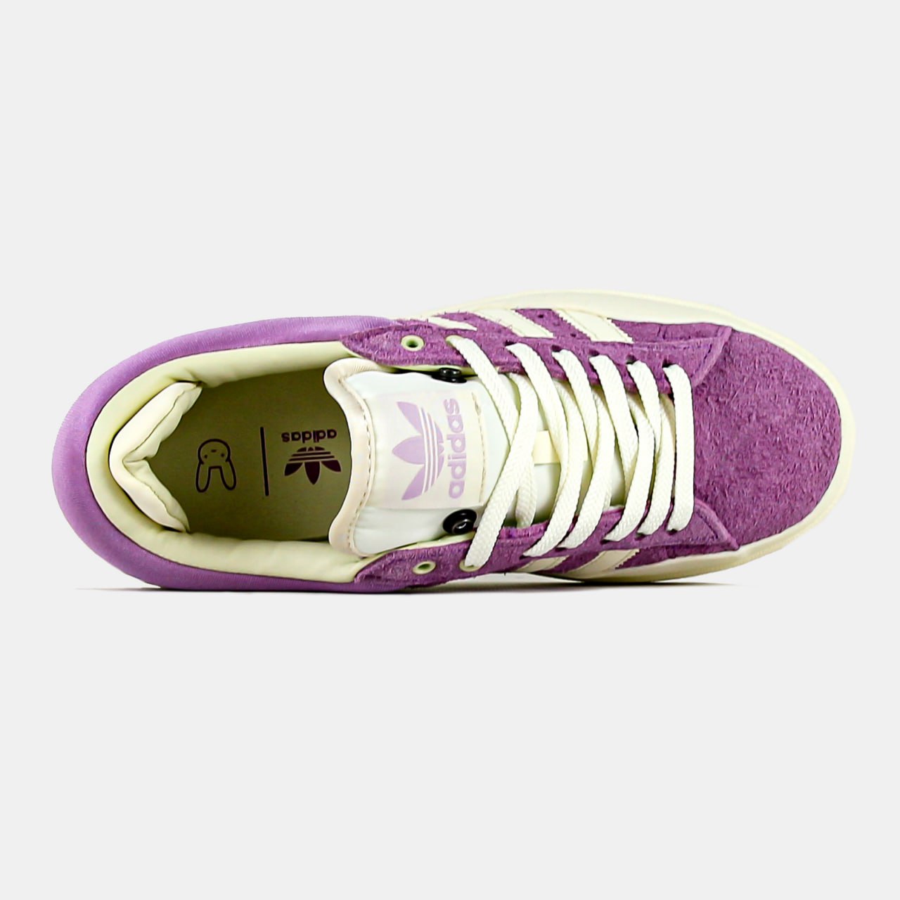 Adidas Campus Bad Bunny Purple