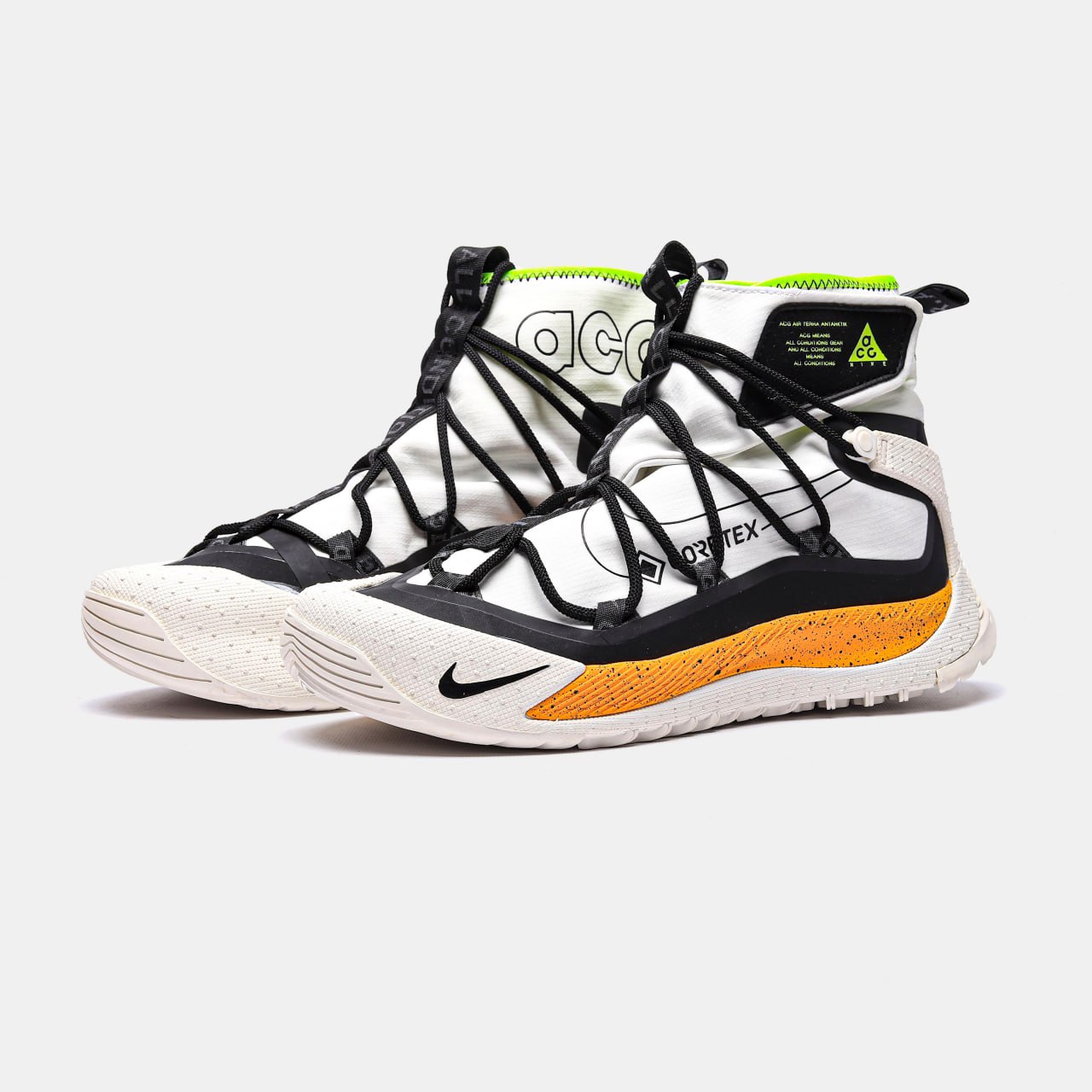 Nike ACG Air Terra Antarktik