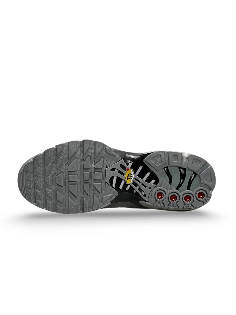 Nike Air Max Plus All Gray Black