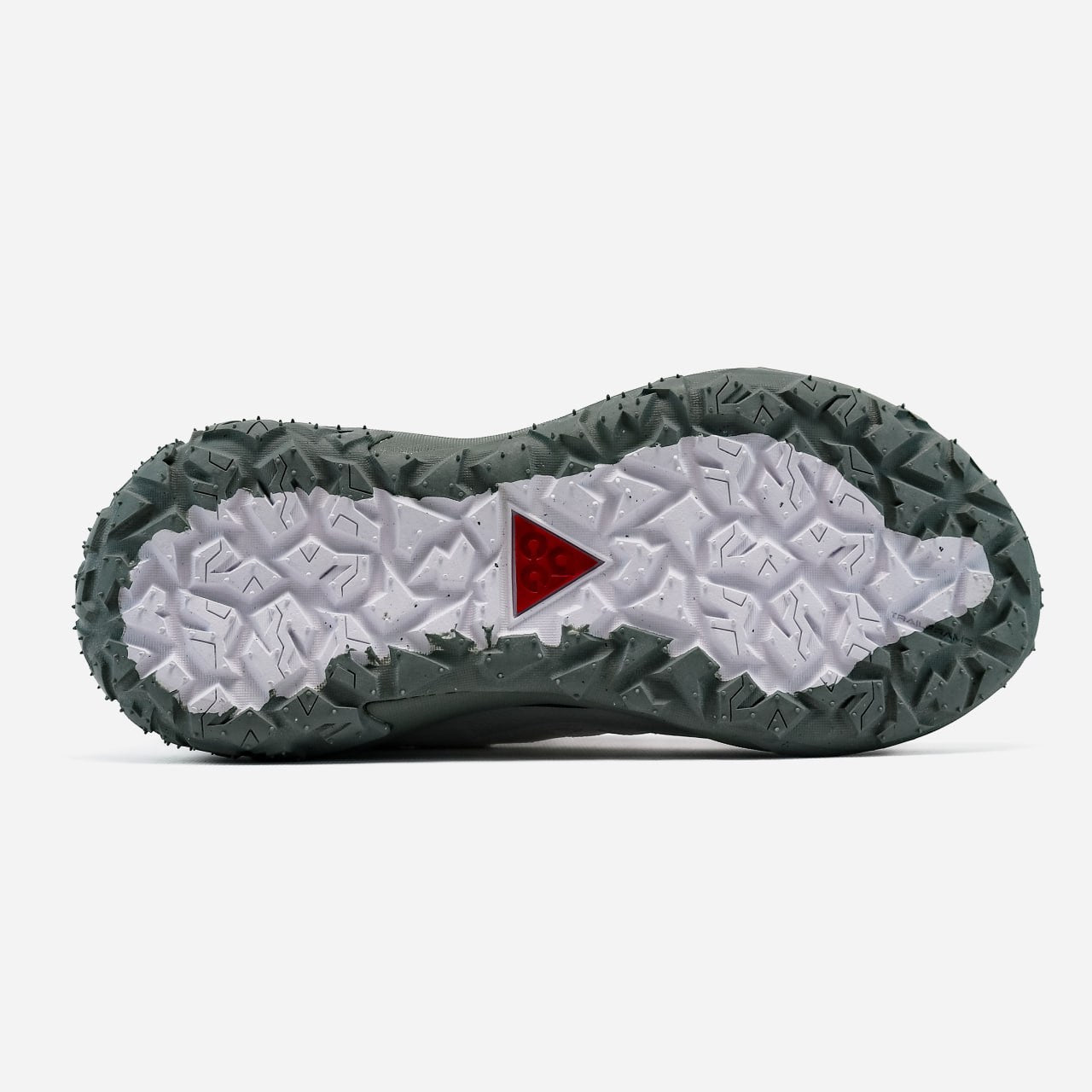 Nike ACG Mountain Fly 2 Low GTX Beige Dark Smoke Grey II