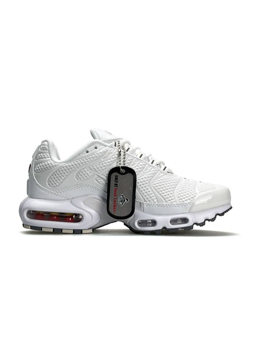 Nike Air Max Plus White Silver