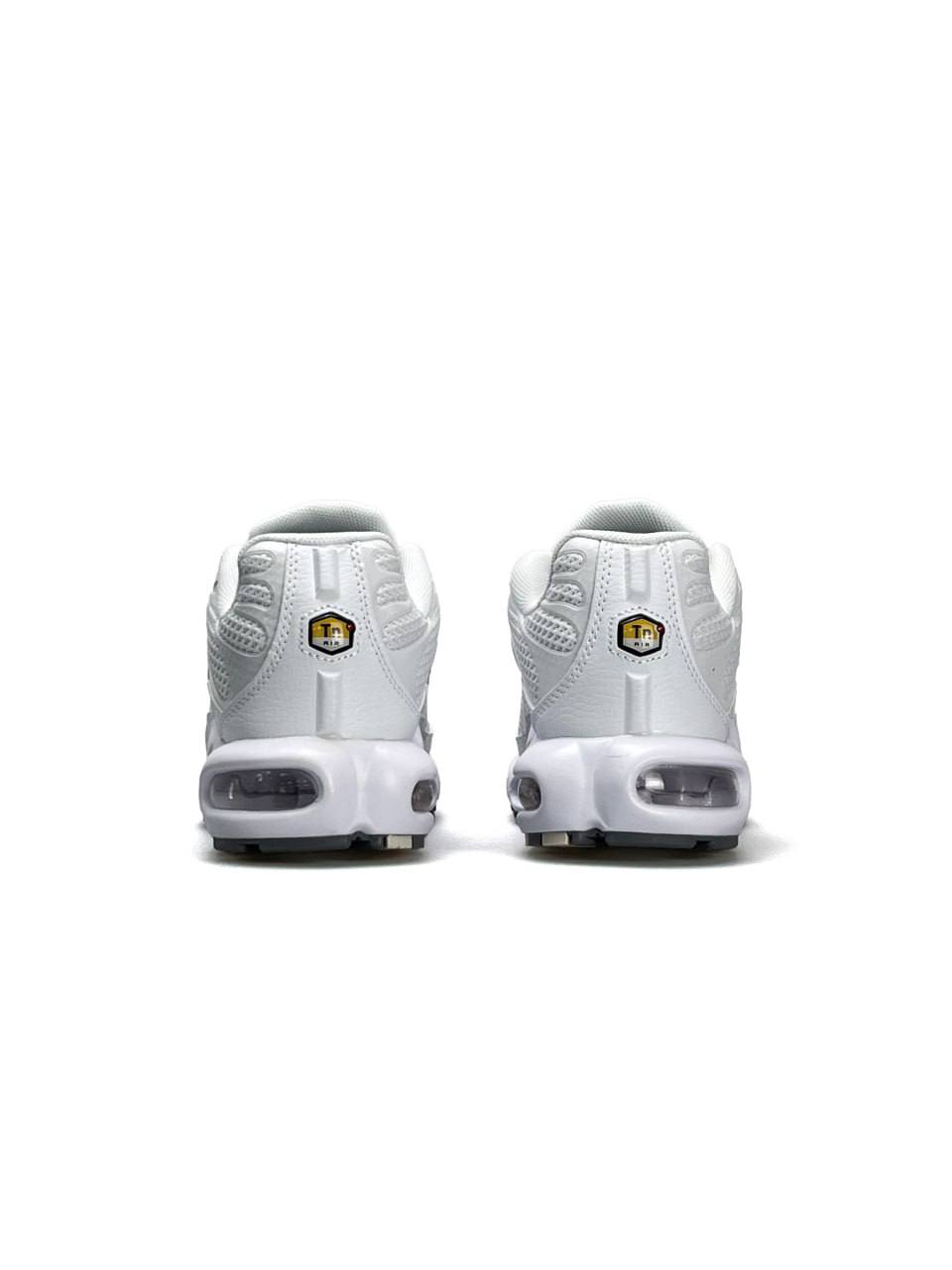 Nike Air Max Plus White Silver