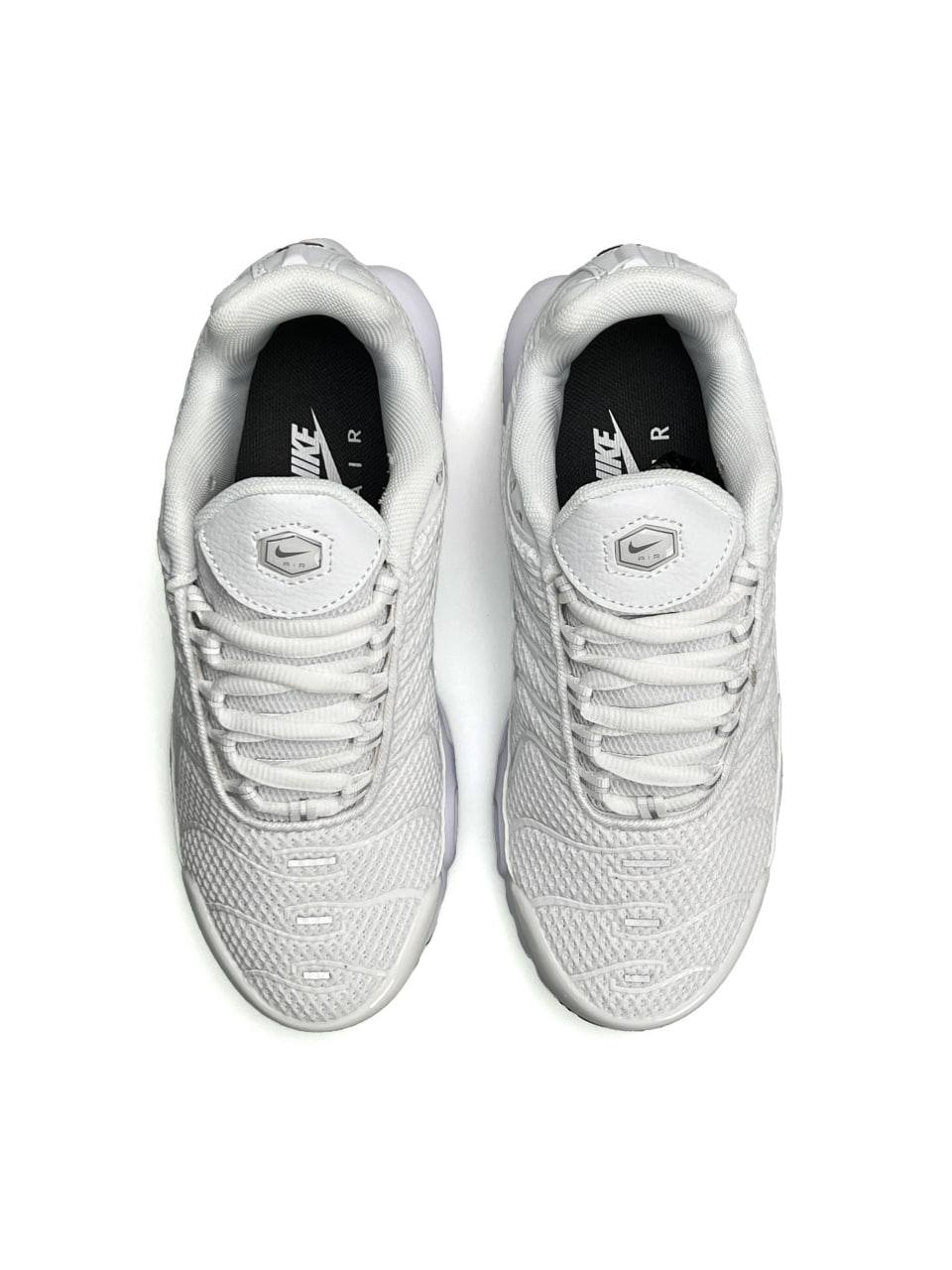 Nike Air Max Plus White Silver