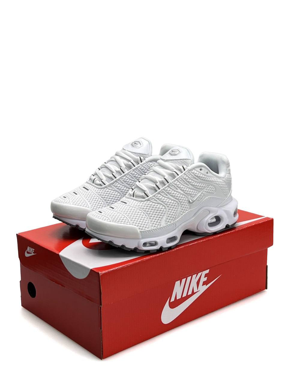 Nike Air Max Plus White Silver