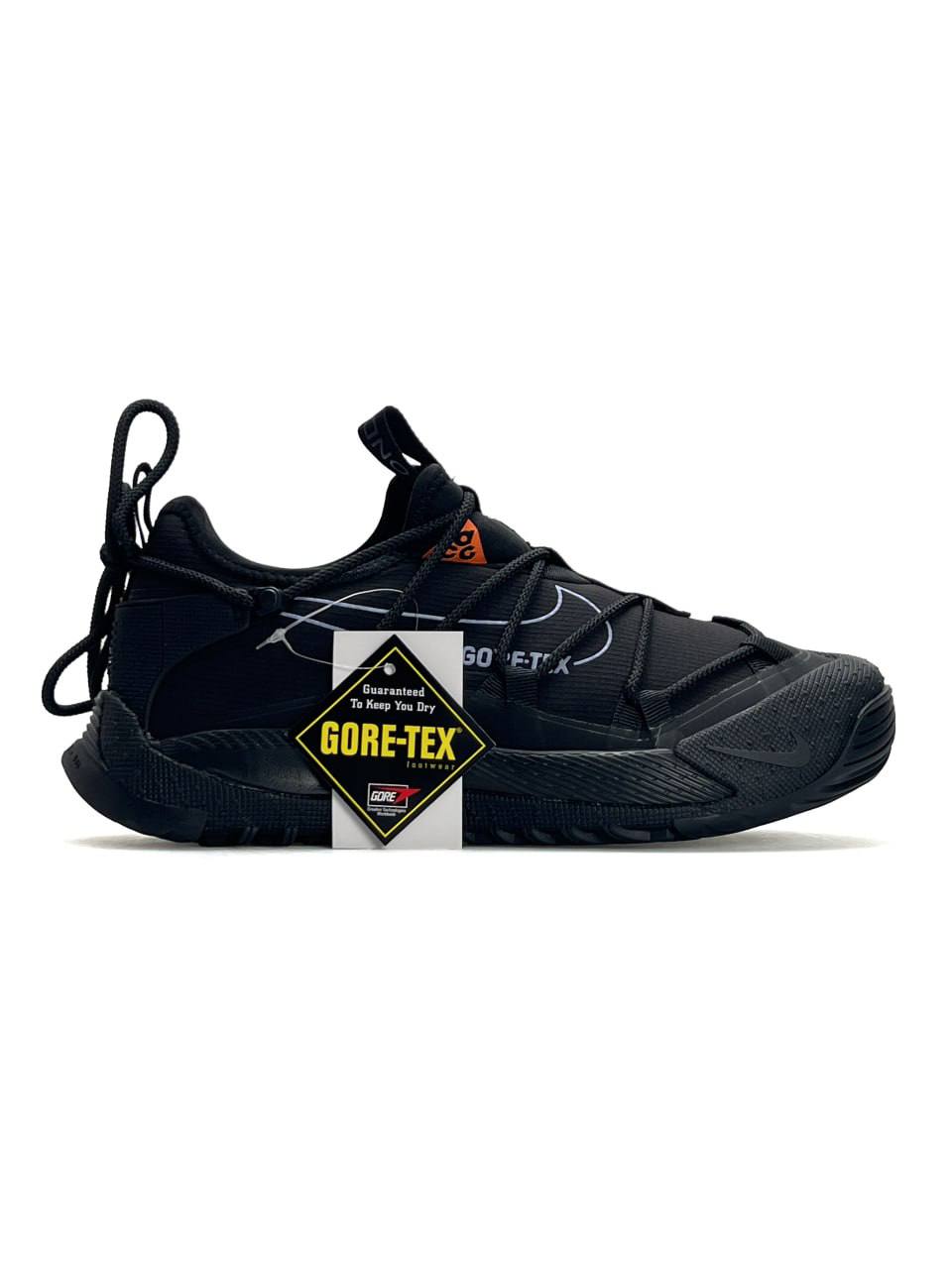 Nike ACG Terra Antarktik Low Gore-Tex Black