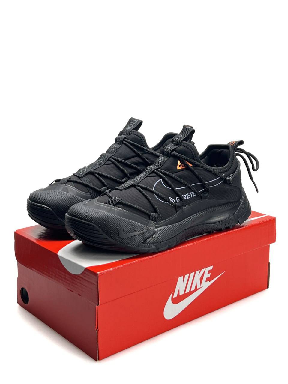 Nike ACG Terra Antarktik Low Gore-Tex Black