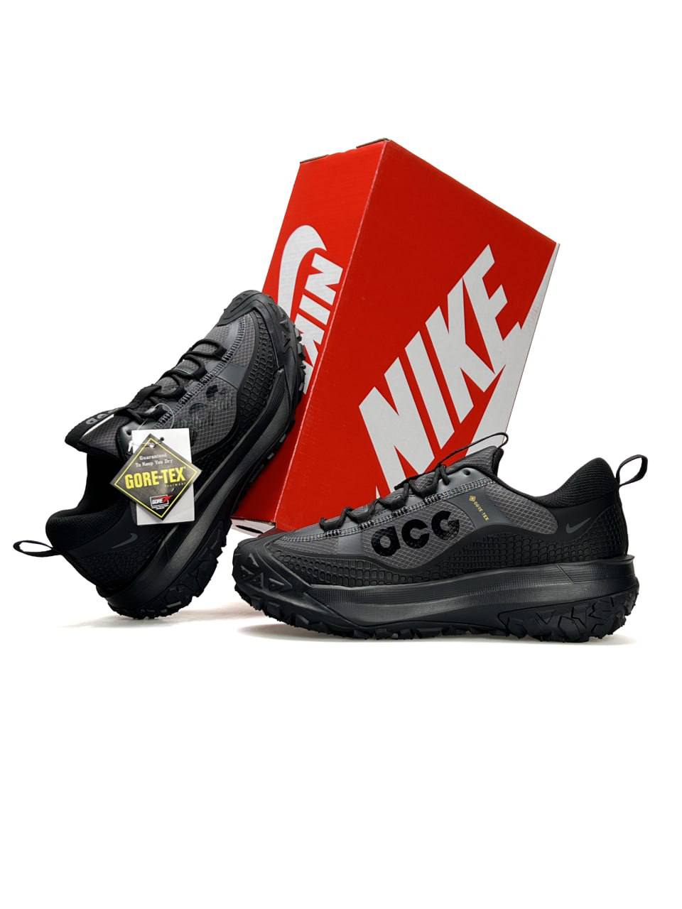 Nike ACG Mountain Fly 2 Low Gore-Tex Black Grey
