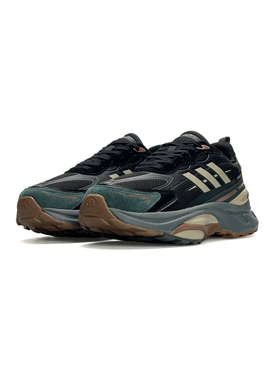 Adidas MTS Pro Gore-Tex Black Beige Green