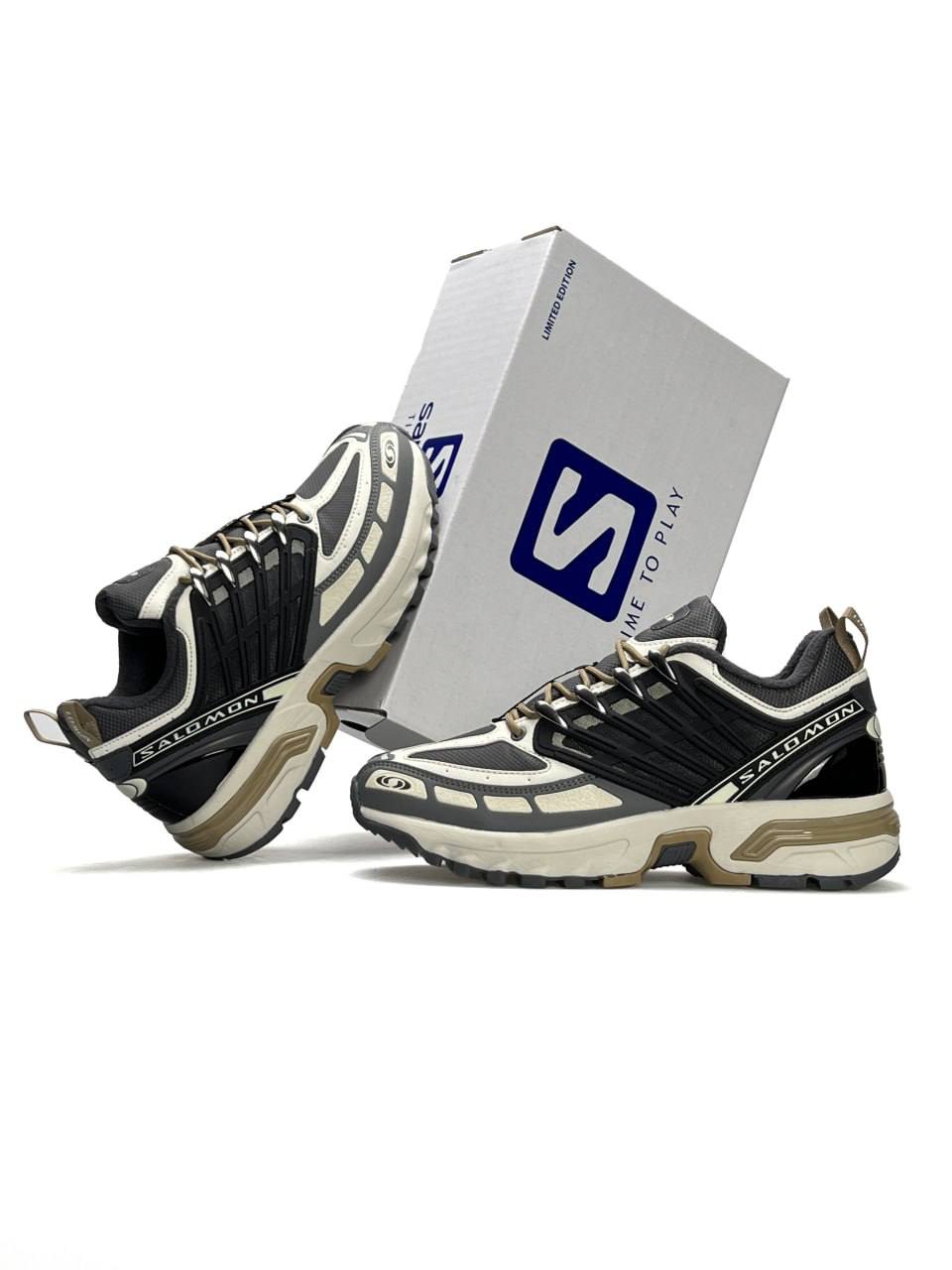 Salomon ACS Pro GTX (Gore-Tex) Grey Beige Black