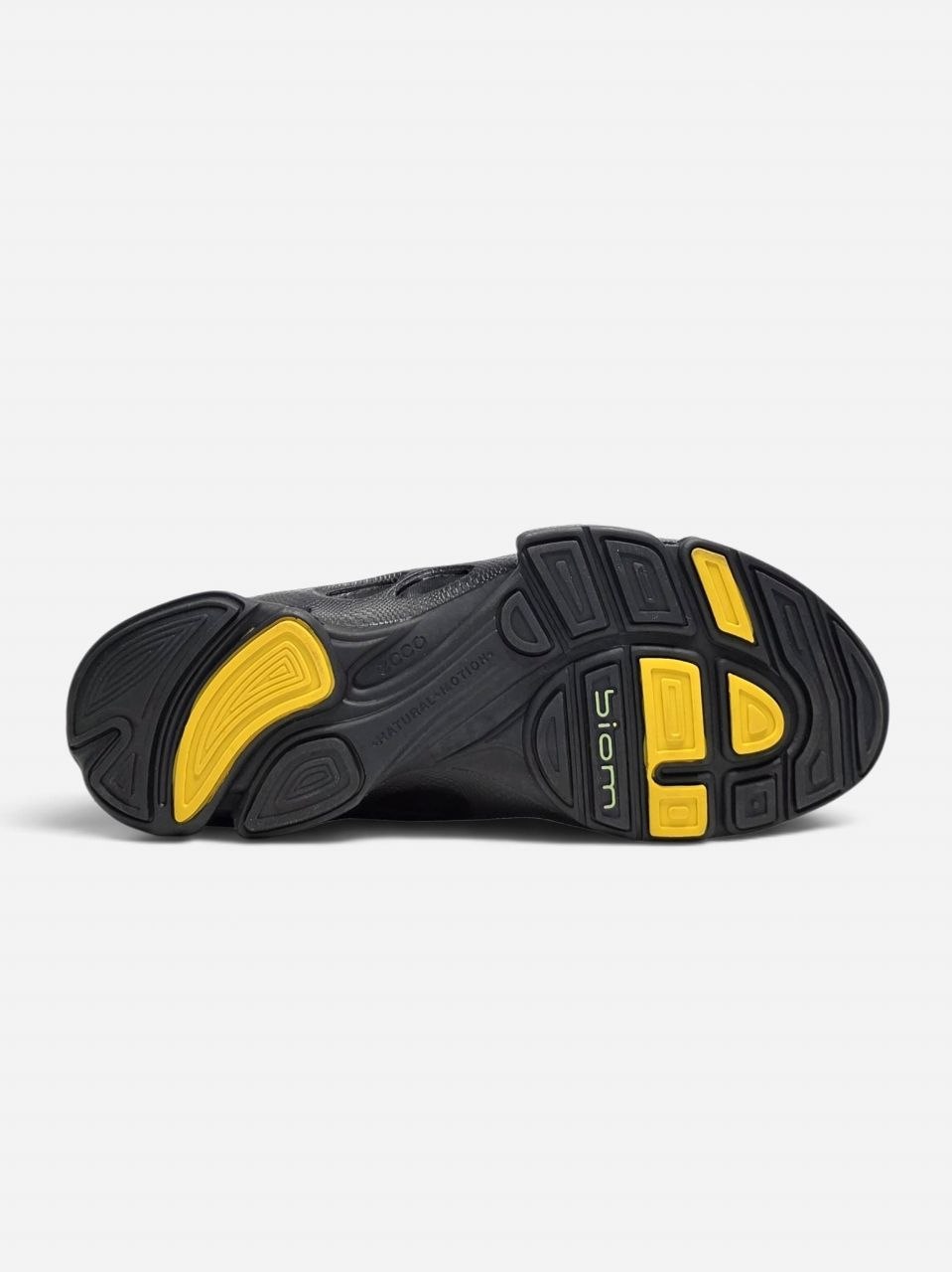 Ecco Biom Offroad Black