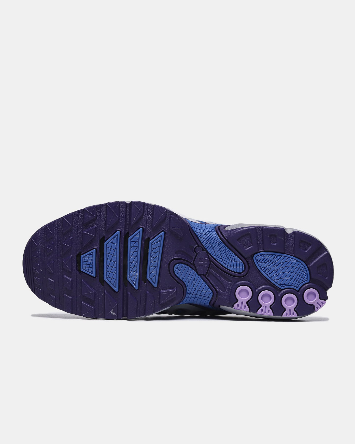 Nike Air Max Plus Drift Concord