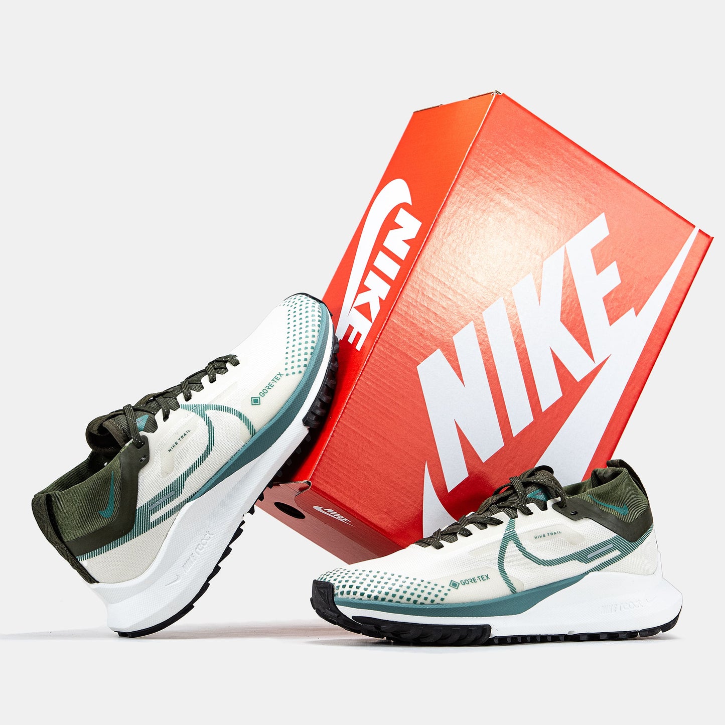 Nike Pegasus Trail 4 Gore-Tex White