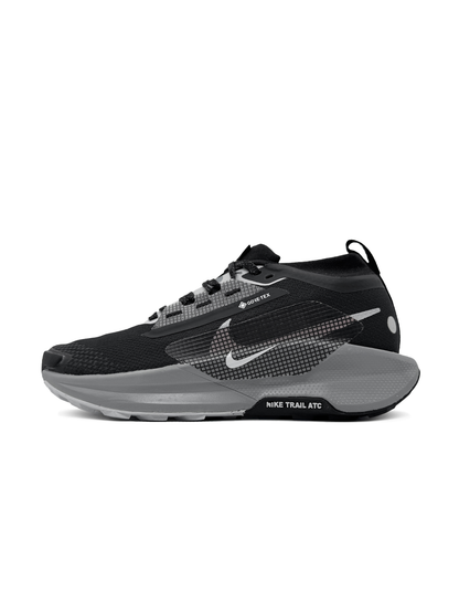 Nike Pegasus Trail 5 Gore-Tex Black Crey