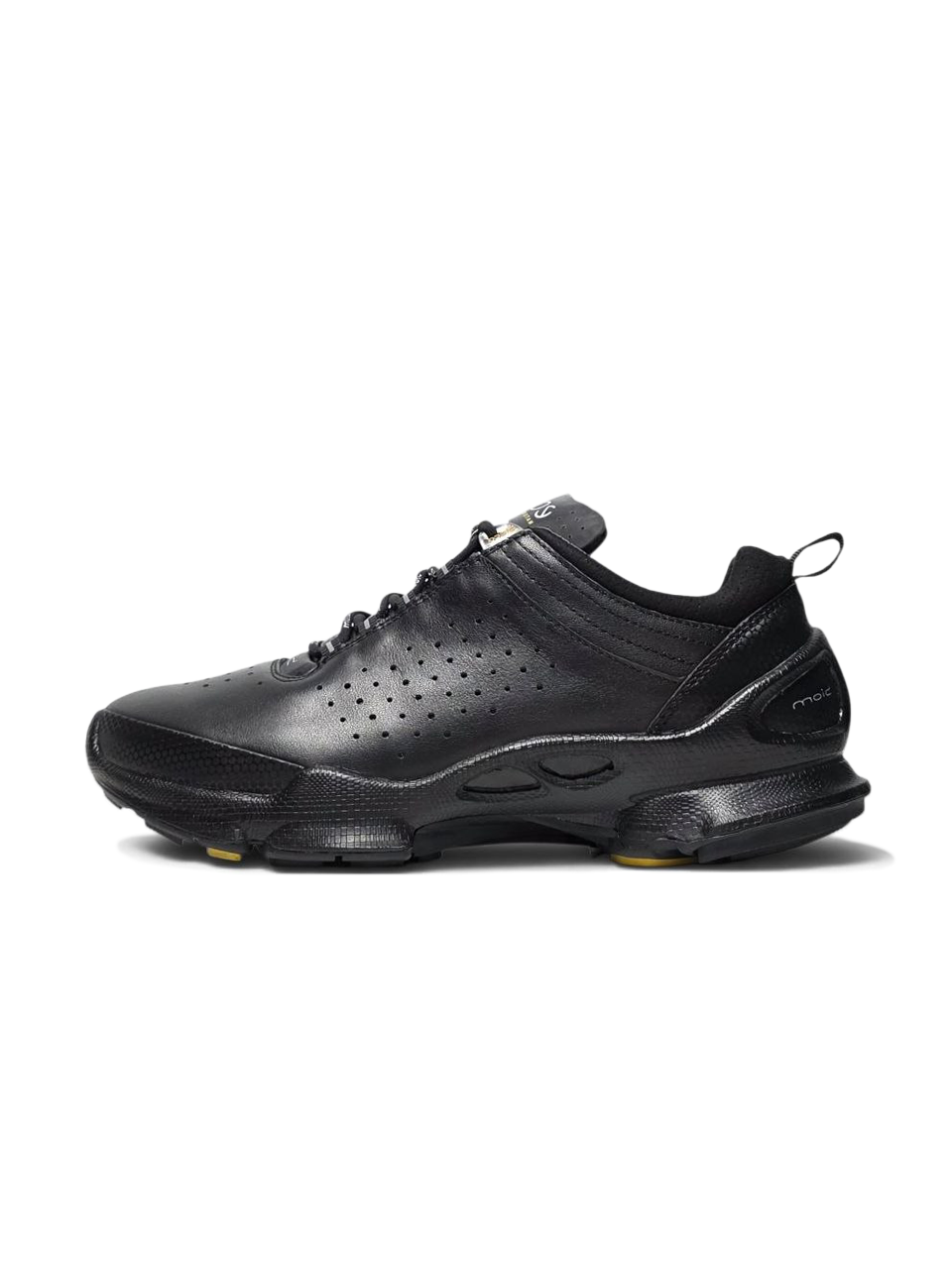 Ecco Biom Offroad Black
