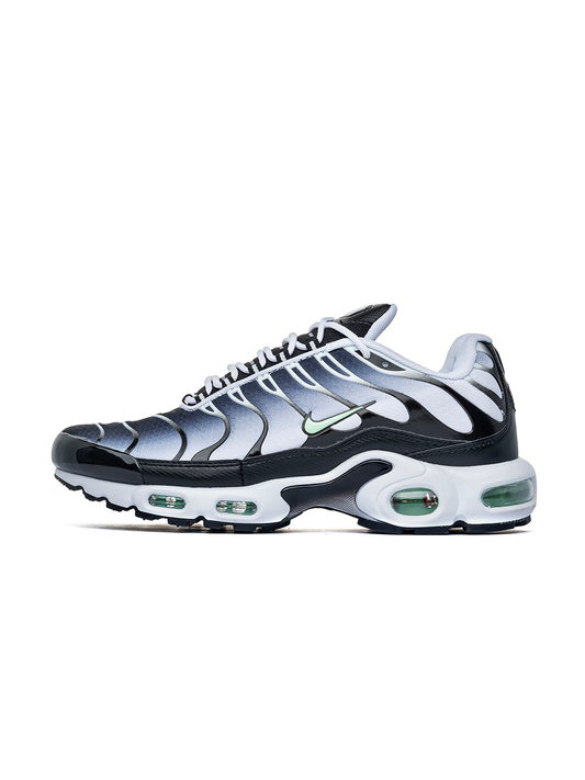 Nike Air Max TN White Silver