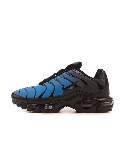 Nike Air Max TN Plus Chameleon Blue