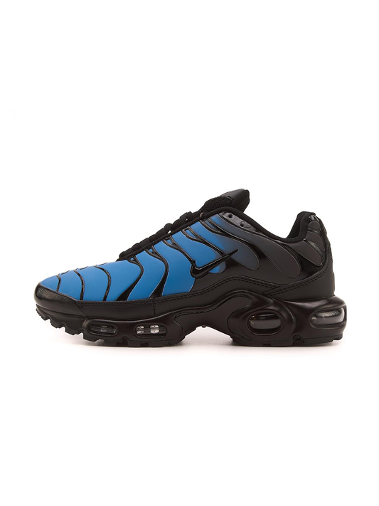 Nike Air Max TN Plus Chameleon Blue