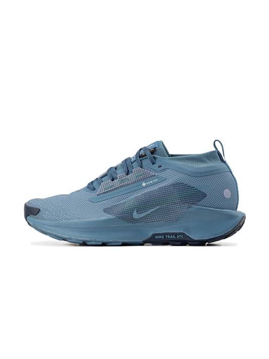 Nike Pegasus Trail 5 GTX Gore-Tex Blue