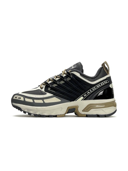 Salomon ACS Pro GTX (Gore-Tex) Grey Beige Black