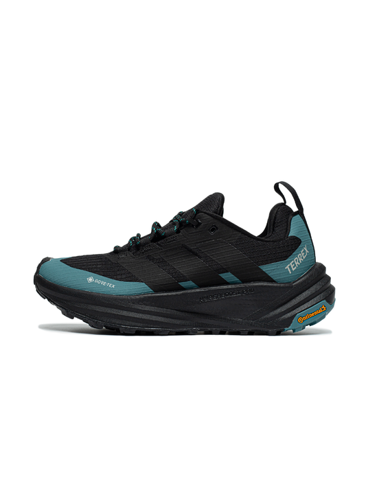 Adidas Terrex Skychaser AX5 Low Gore-Tex Blue Black