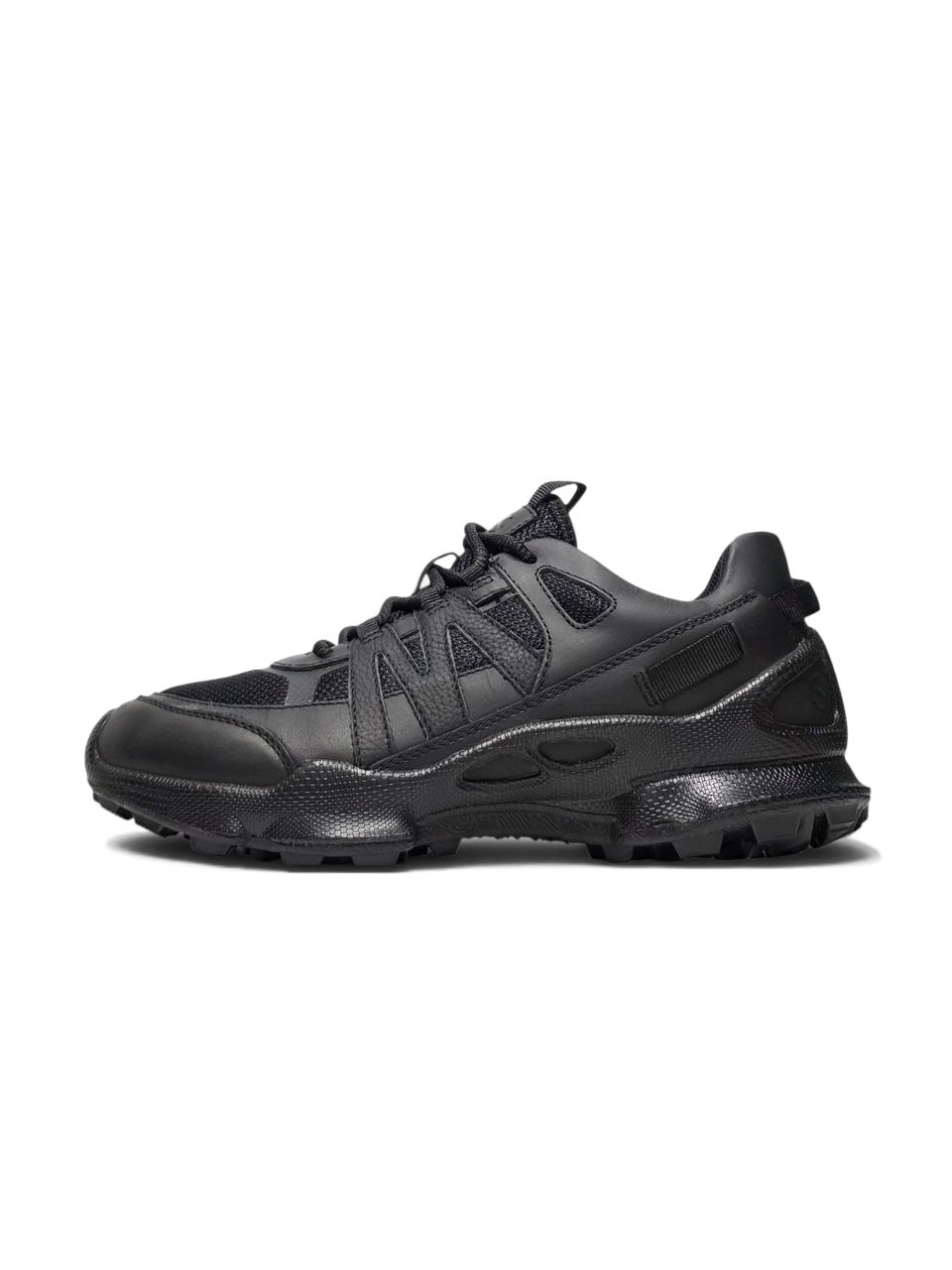 Ecco Biom C-Trail Black