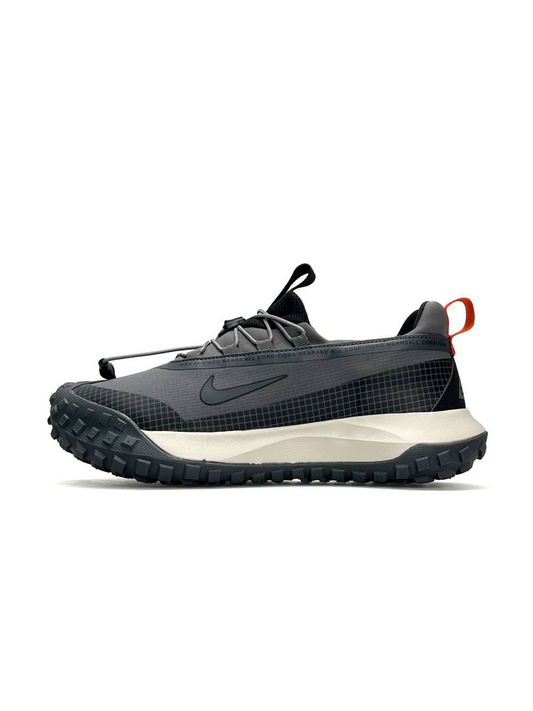 Nike ACG Mountain Fly Low Gore-Tex Grey Black Beige