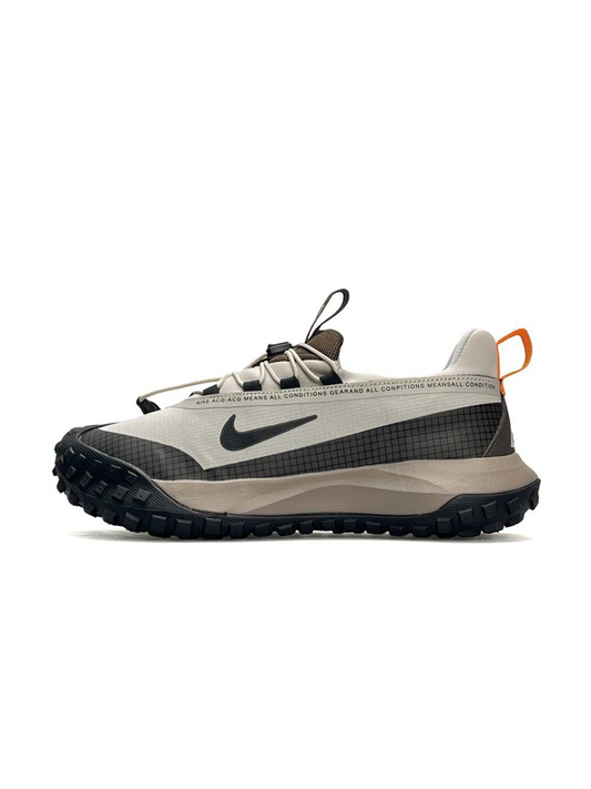 Nike ACG Mountain Fly Low Gore-Tex Beige Brown