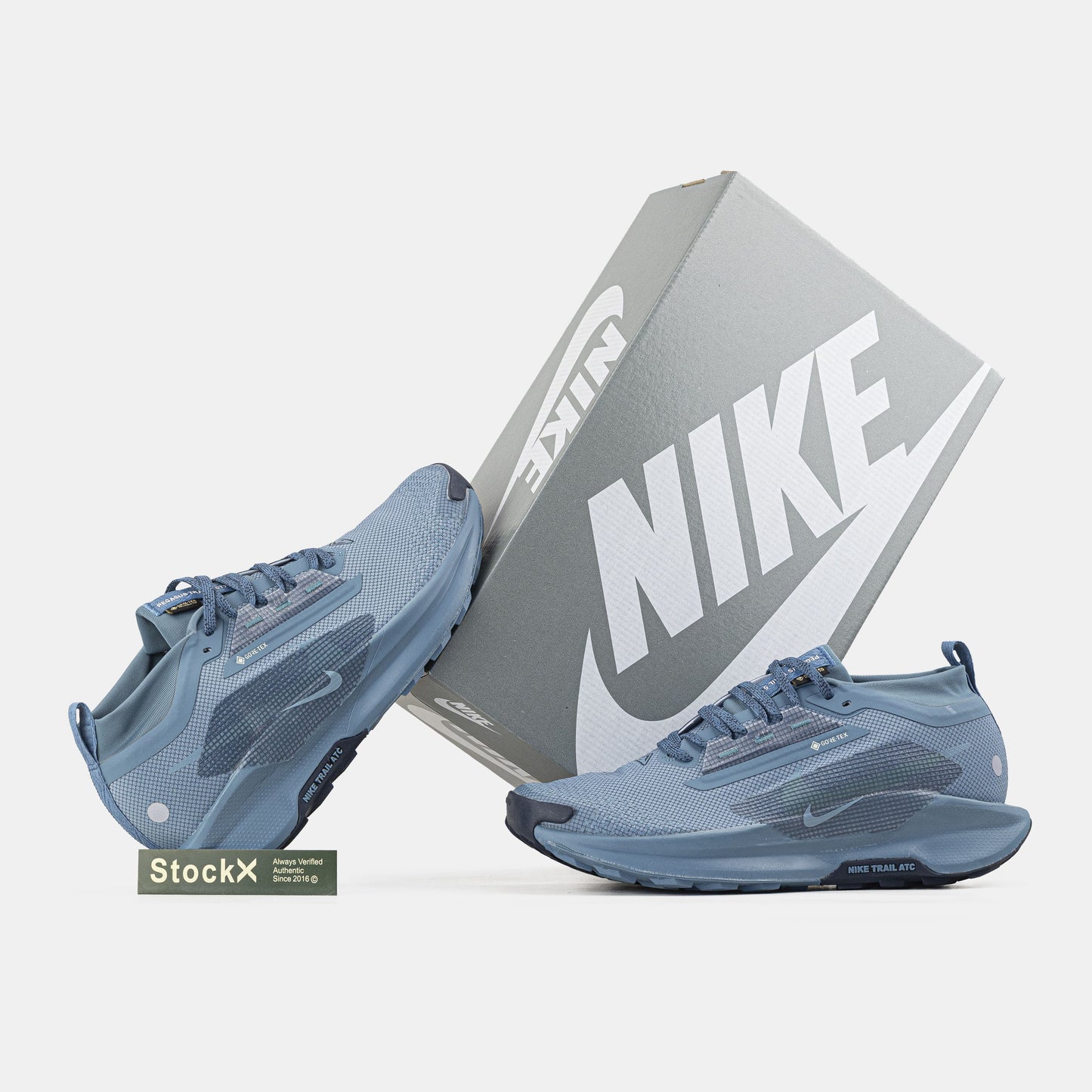 Nike Pegasus Trail 5 GTX Gore-Tex Blue