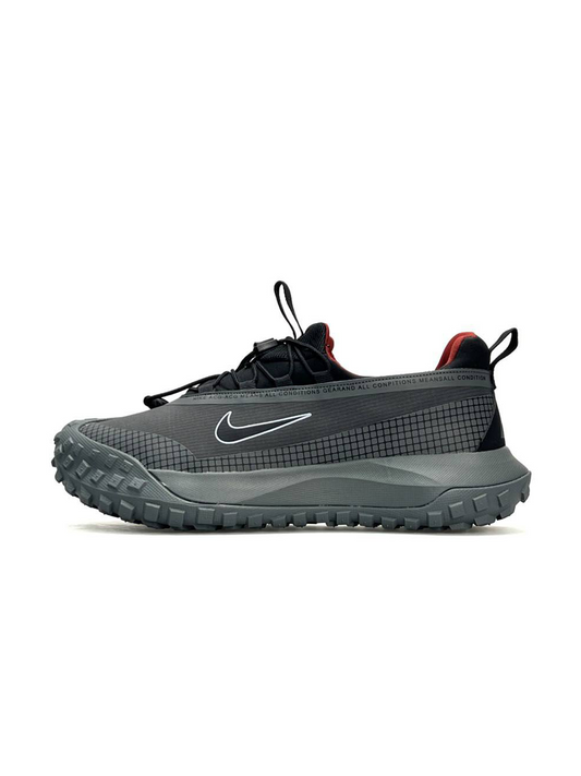 Nike ACG Mountain Fly Low Gore-Tex Grey