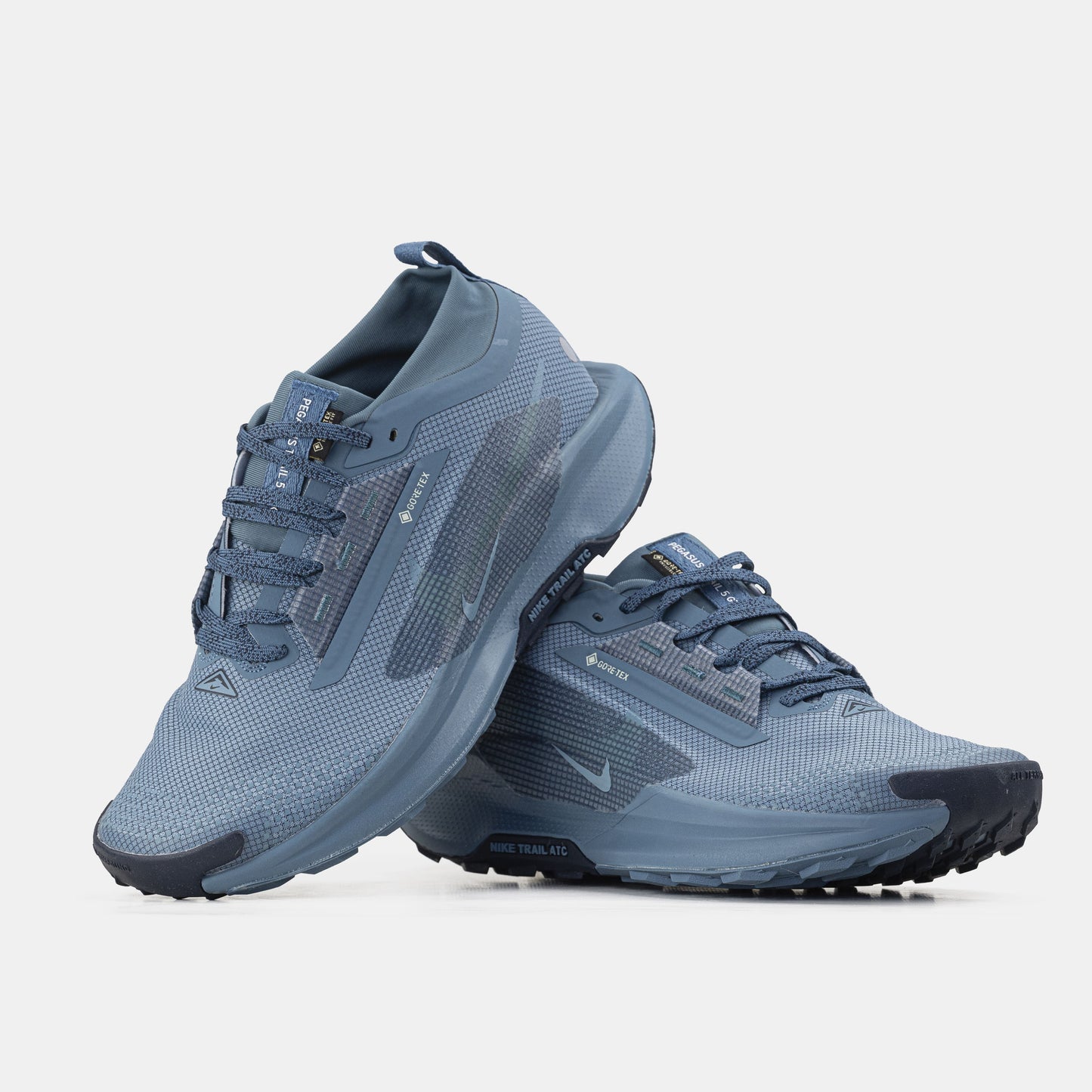 Nike Pegasus Trail 5 GTX Gore-Tex Blue