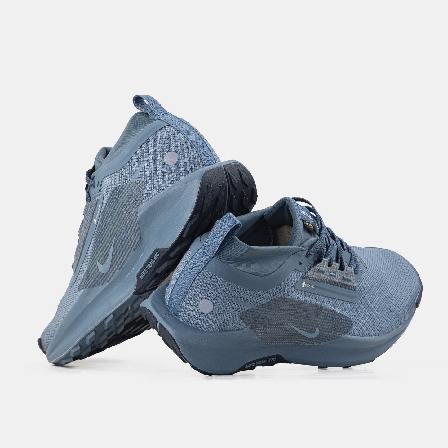 Nike Pegasus Trail 5 GTX Gore-Tex Blue