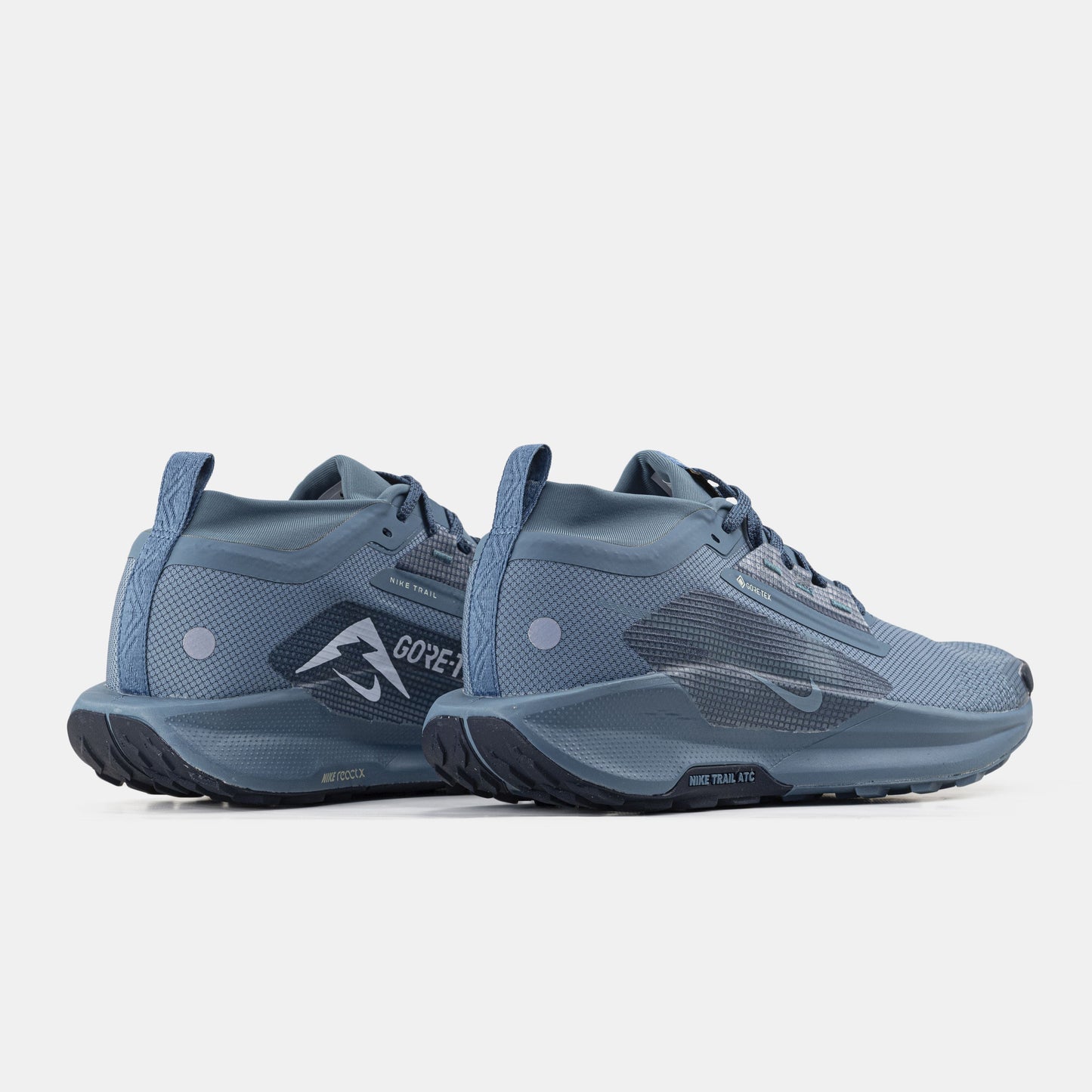 Nike Pegasus Trail 5 GTX Gore-Tex Blue