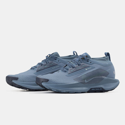 Nike Pegasus Trail 5 GTX Gore-Tex Blue