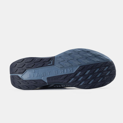 Nike Pegasus Trail 5 GTX Gore-Tex Blue