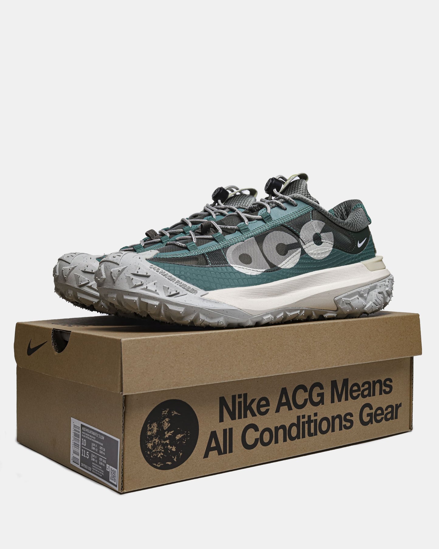 Nike ACG Mountain Fly Low 2 Bicoastal