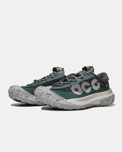 Nike ACG Mountain Fly Low 2 Bicoastal