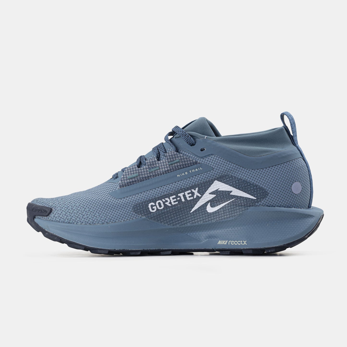 Nike Pegasus Trail 5 GTX Gore-Tex Blue