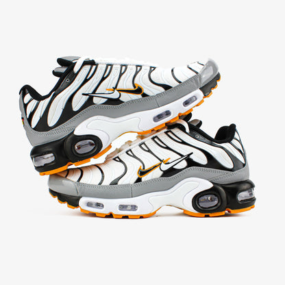 Nike Air Max Plus TN Mean Grey-White Double Swoosh