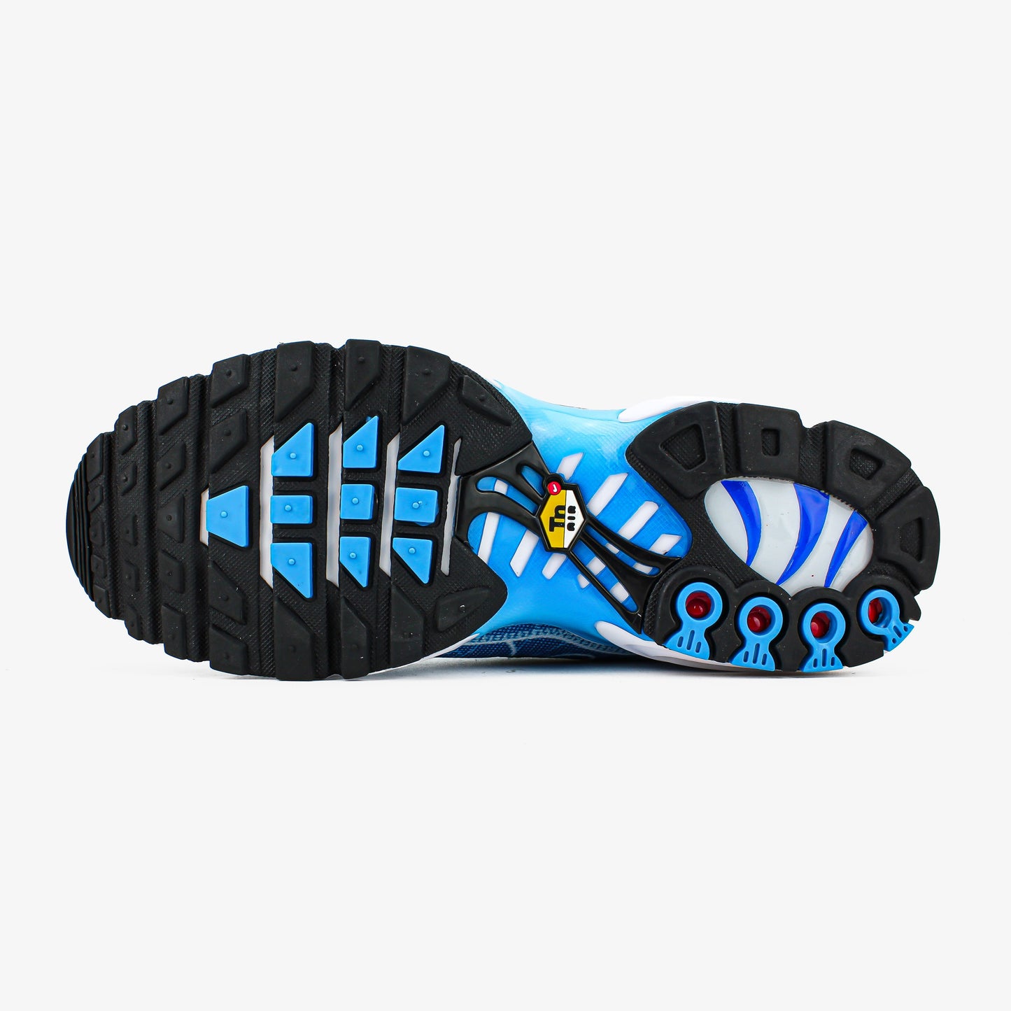 Nike Air Max Plus Light Photography Royal Blue