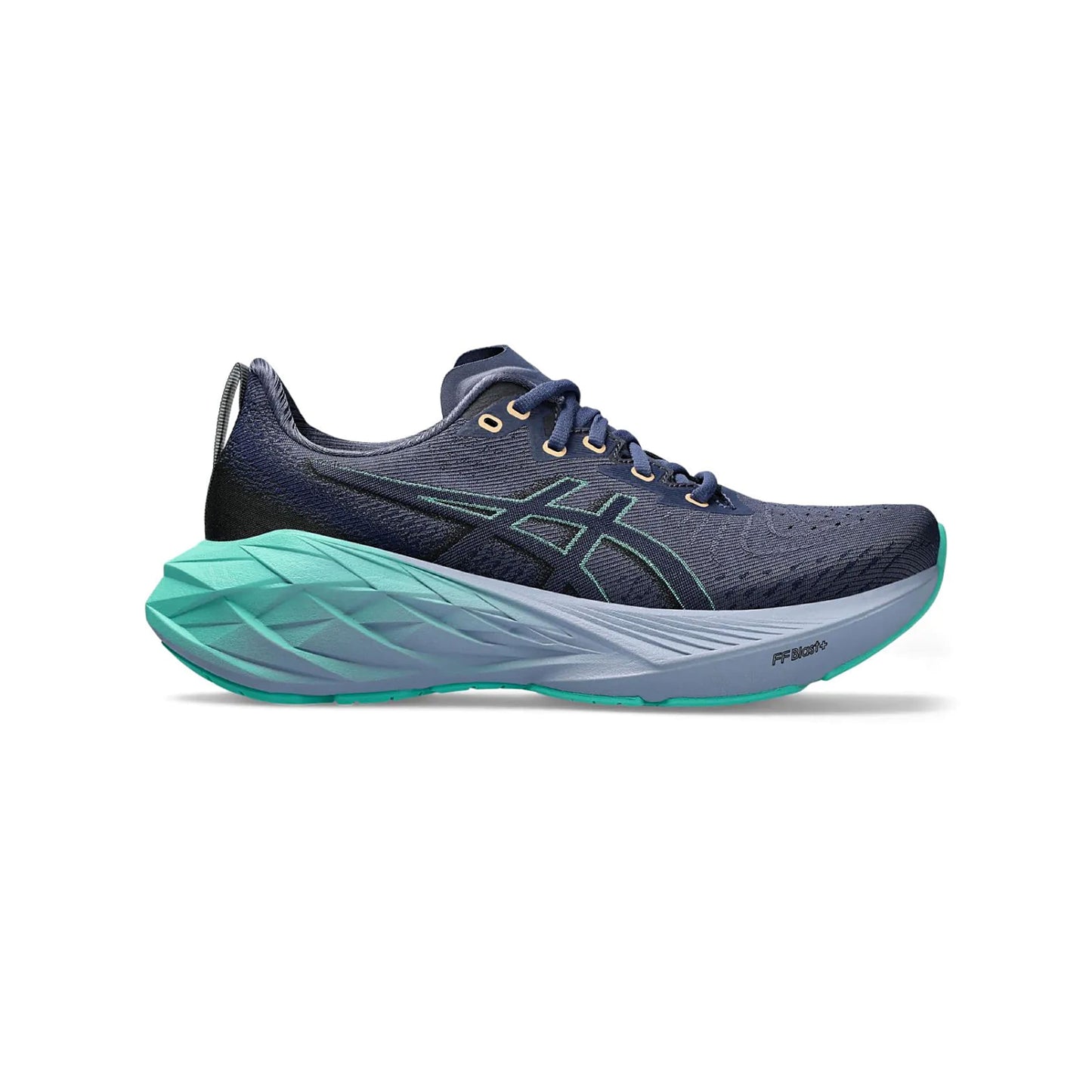 Asics Novablast 4 Thunder Blue / Blue Expanse