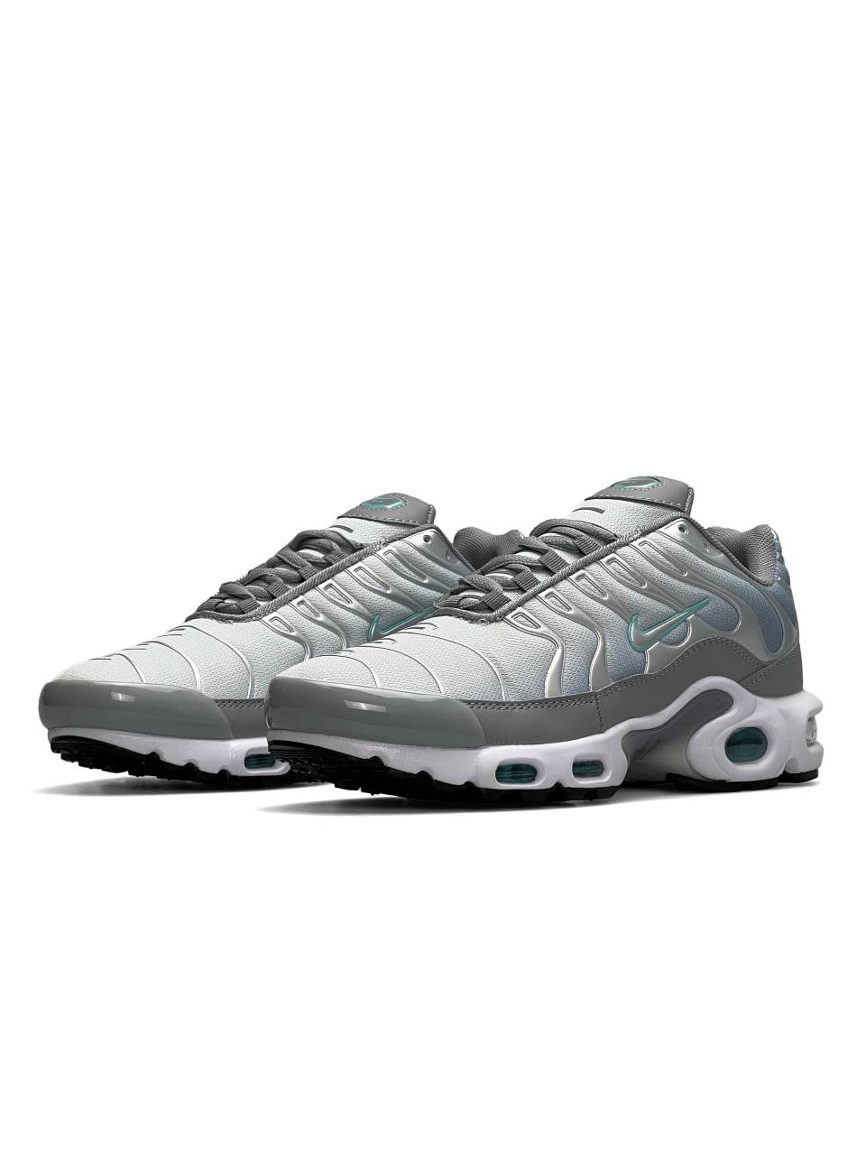 Nike Air Max Plus Silver Sky