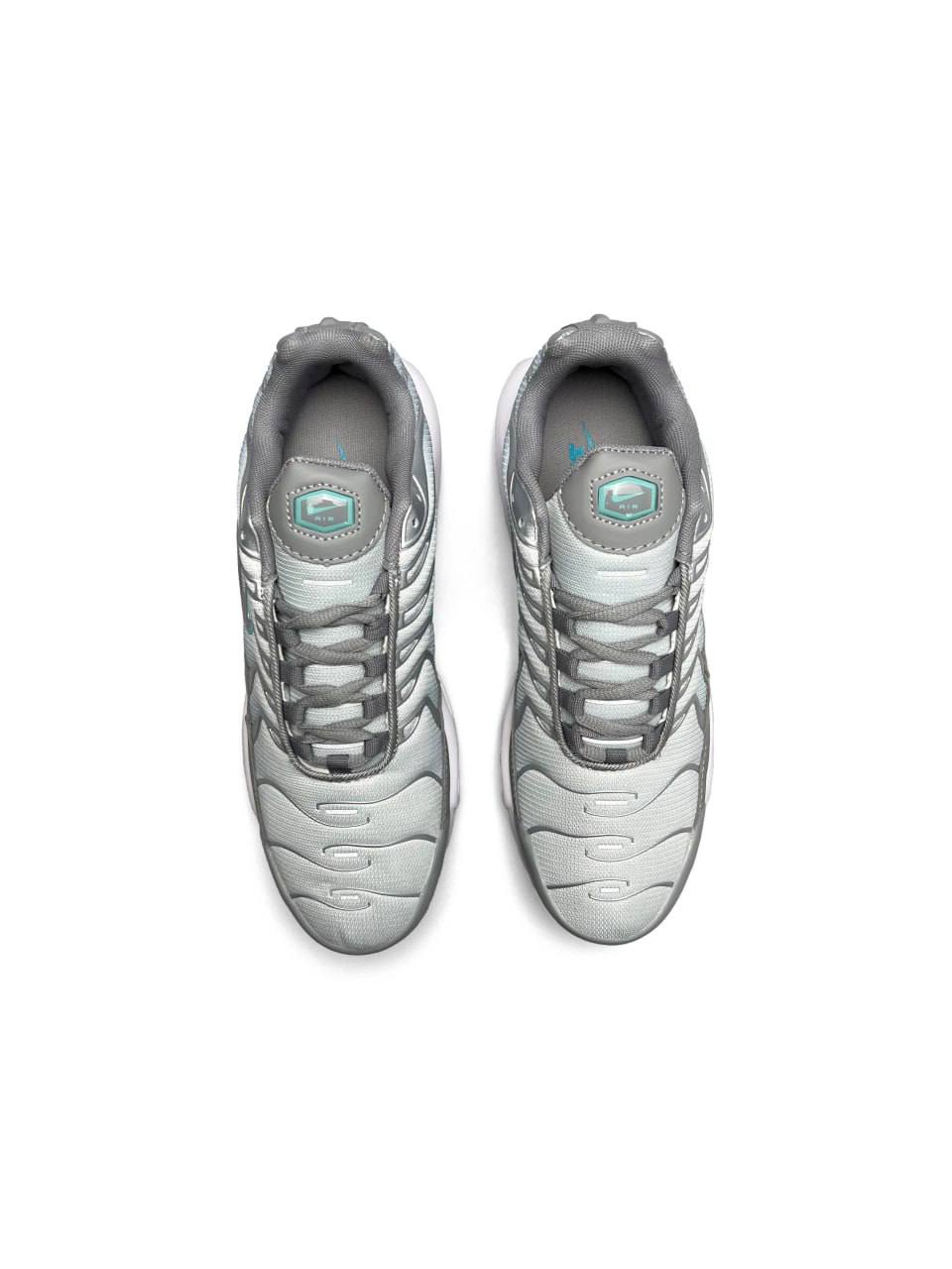 Nike Air Max Plus Silver Sky