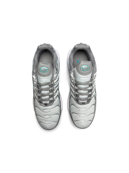 Nike Air Max Plus Silver Sky