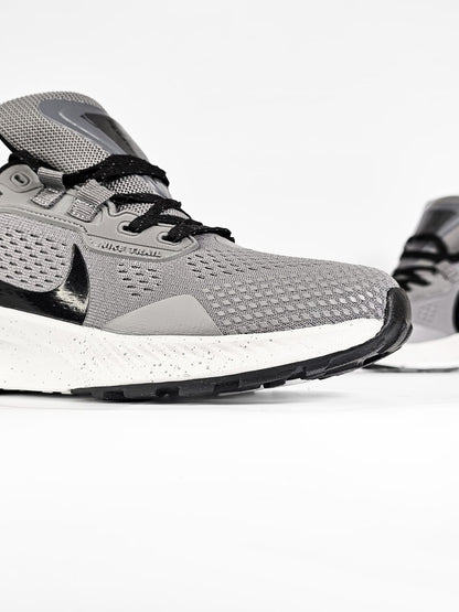 Nike Zoom Pegasus Gray