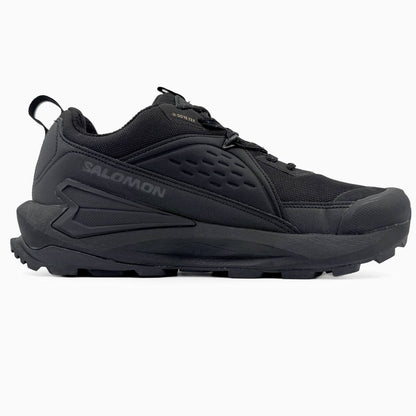 Salomon Gore-Tex Black (термо)
